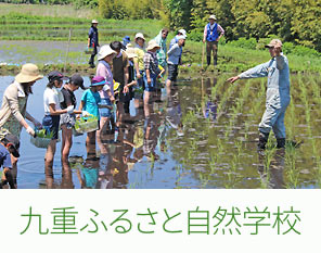 九重ふるさと自然学校
