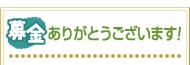 ������肪�Ƃ��������܂�!