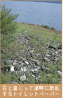石と交じって湖畔に散乱するトイレットペーパー