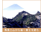 鳳凰三山から遠く富士を望む