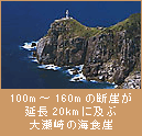 100m〜160mの断崖が延長20kmに及ぶ大瀬崎の海食崖