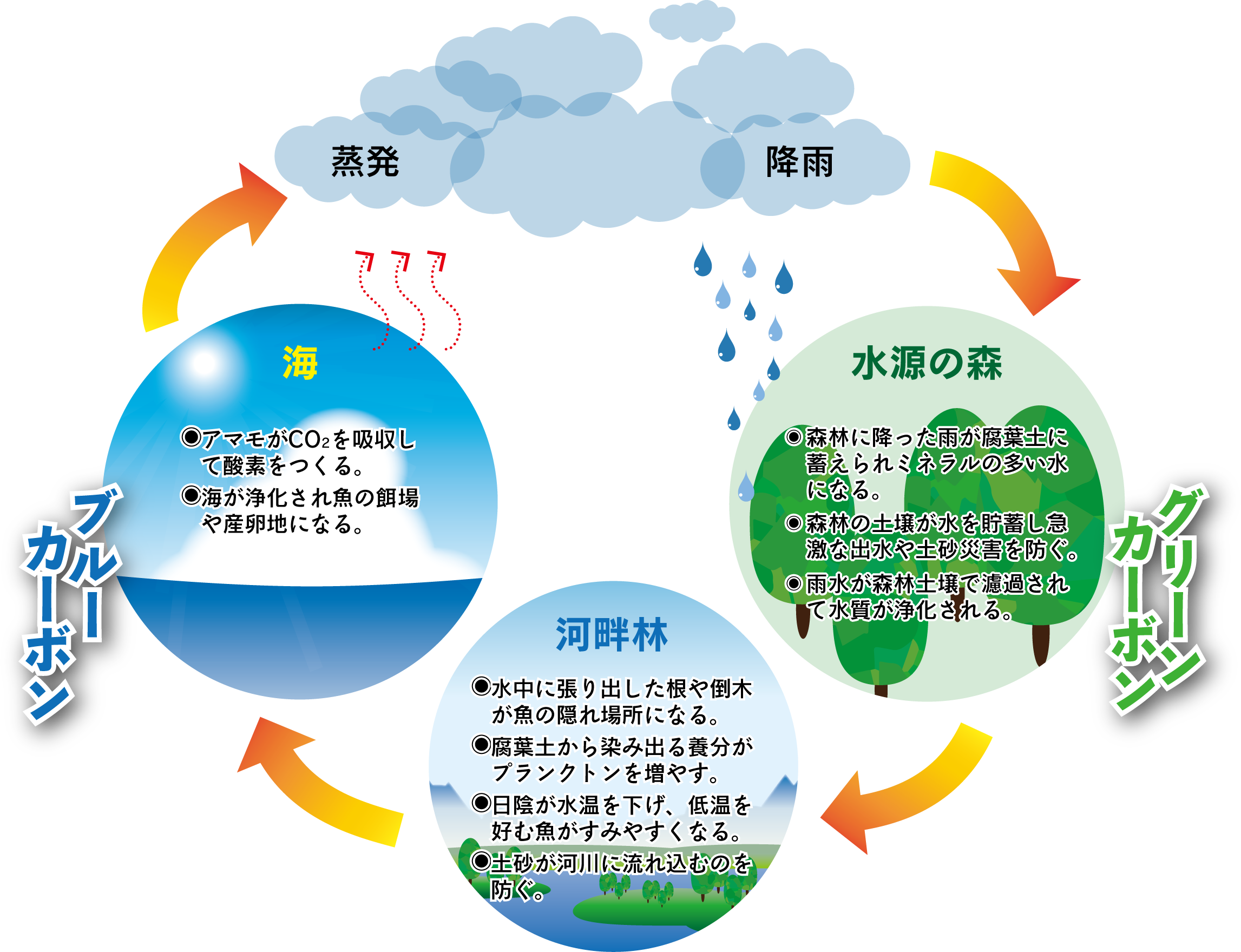 fig.ブルーカーボン／グリーンカーボン