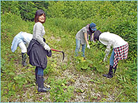 女子社員も積極的に参加