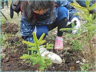 子どもたちも一所懸命に植樹を行う