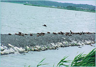 photo02