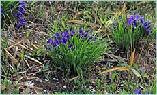 photo01
