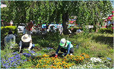 photo01