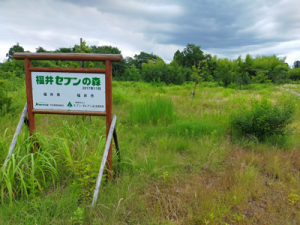 看板周辺整備前