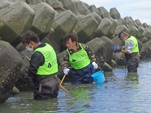 阪南セブンの海の森生きもの採取