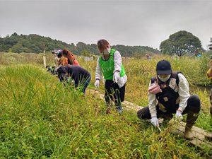 草刈りの様子