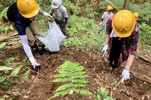 斜面に雨水の浸透口ともなる足掛かりをつくりながら登る