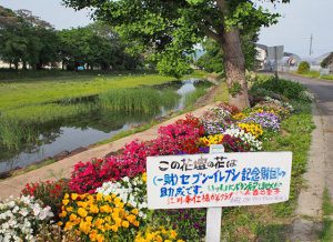 セブン-イレブン助成の四季の花壇