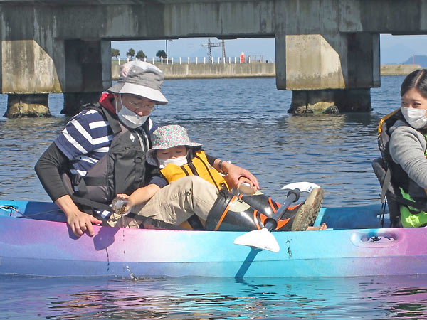 アマモ種子播種