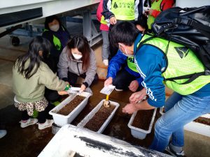 陸上で苗床に種子を植え、苗を育てます