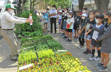 近隣小学校へ花苗の贈呈