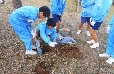 ヤマユリの植栽作業