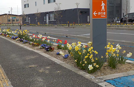 目指すのは緑でいっぱいの居心地のいい街並み