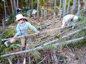 みんなで協力しながら搬出