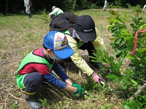 下刈りに挑戦