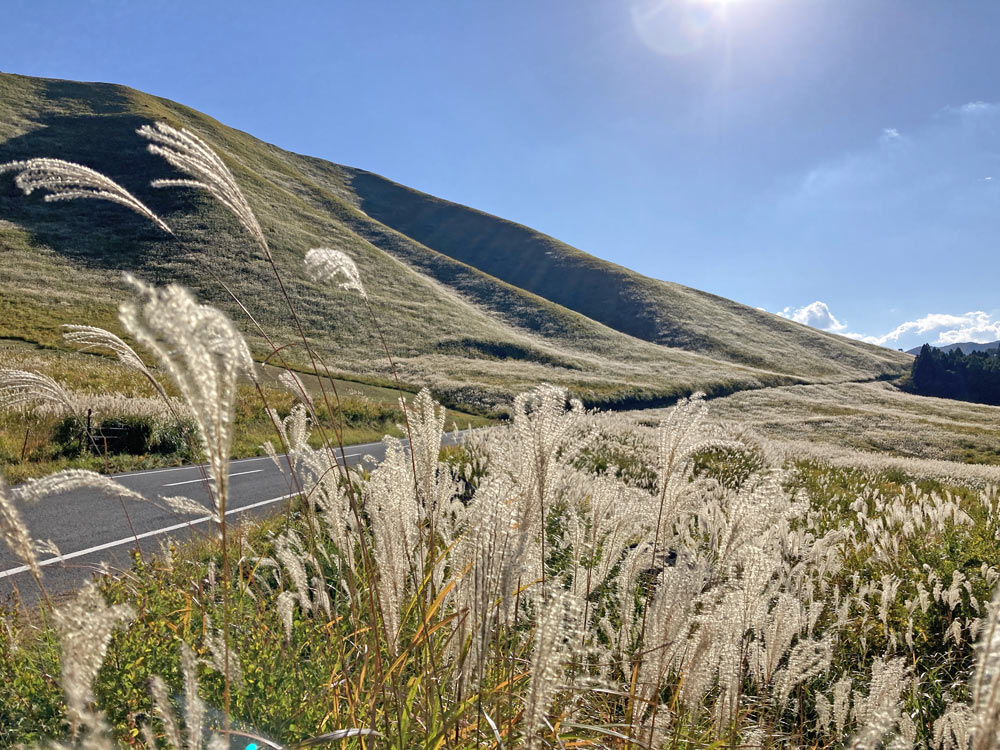 泉水山（おにぎり山）