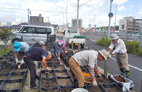 秋の球根植え付け作業