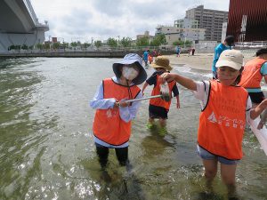浅瀬のごみも拾いました