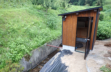 国内2例目の人工巣穴観察小屋では昼間でも巣穴の中をゆっくり観察できる