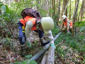 伐採した竹を安全な場所へ