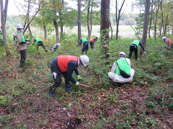 植樹した周りを下刈り