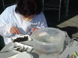 一粒ずつ丁寧に選別