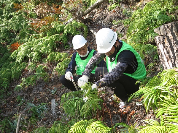 斜面に気を付けながら下刈り