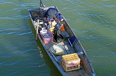 船と魚群探知機で水草が生えている場所を見つける