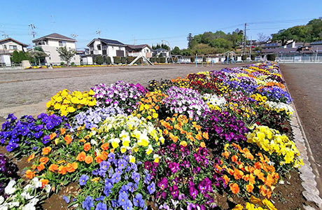 公園は一年中花が咲き誇る