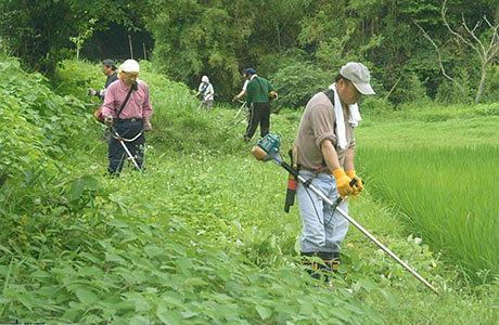 みどりの基金で購入した刈払機を使って線路沿いの草刈り活動