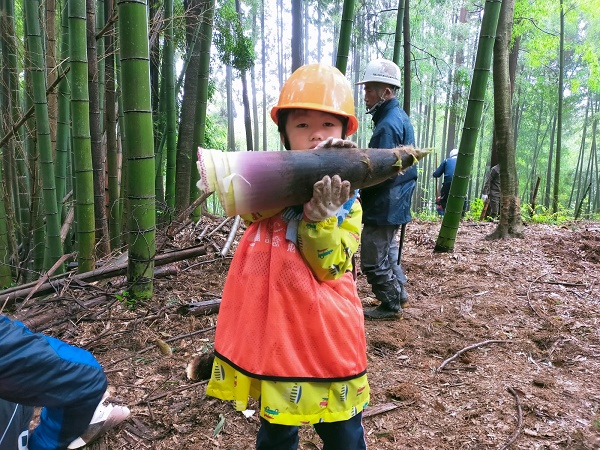 タケノコとれたよ
