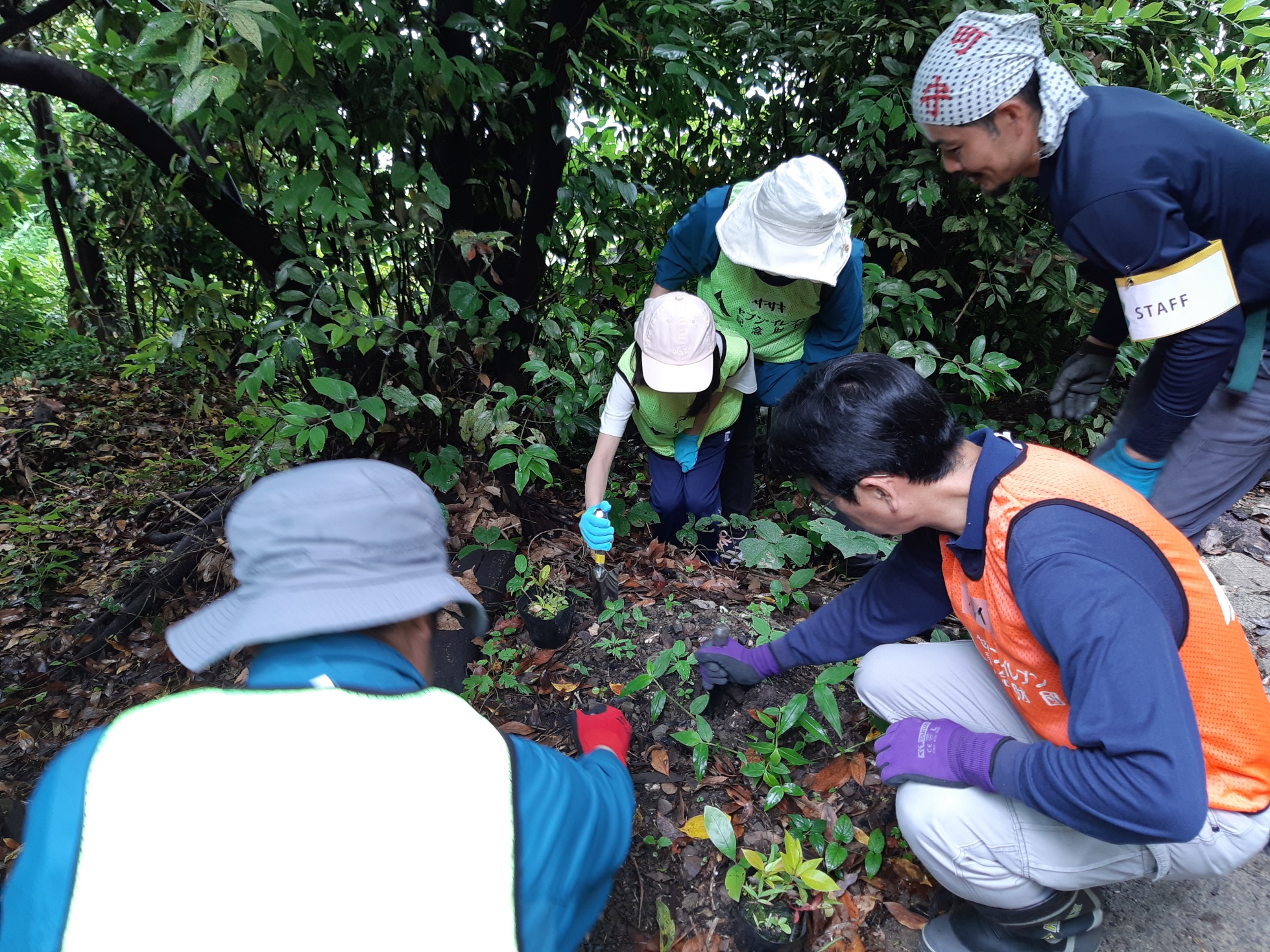 子供が中心になり植樹