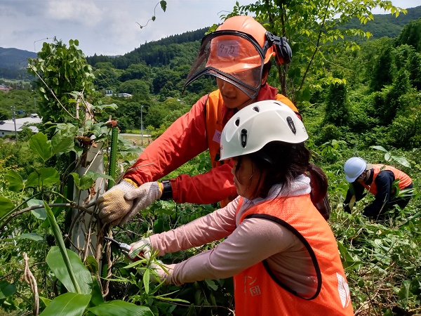 ツルがなかなか切れません