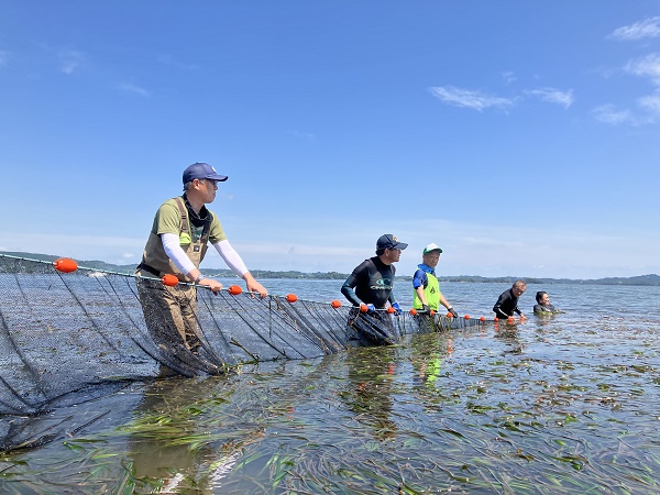 地曳網による生きもの観察