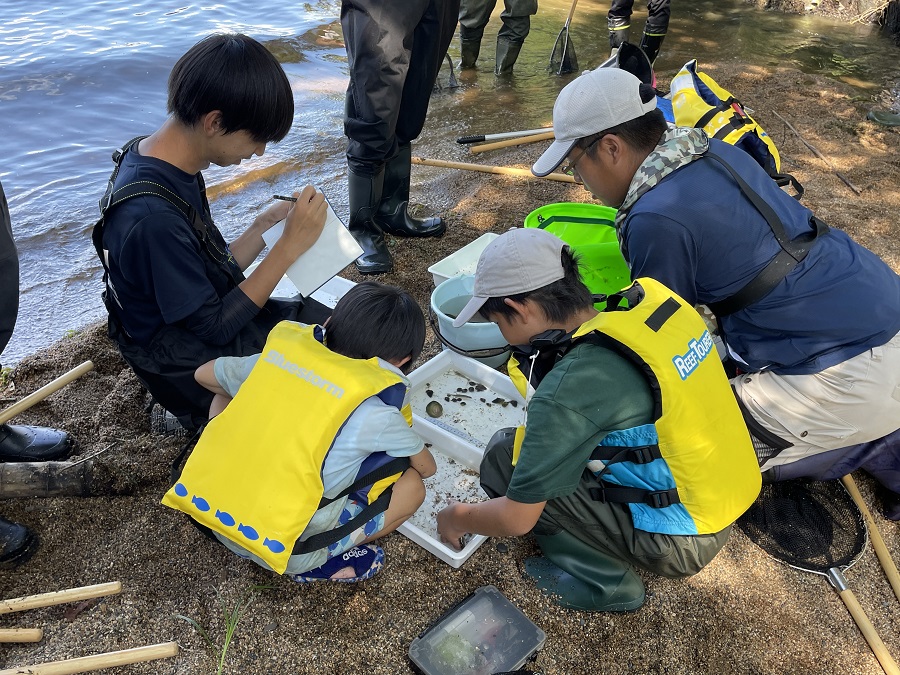 採取した生きものをメモして調査