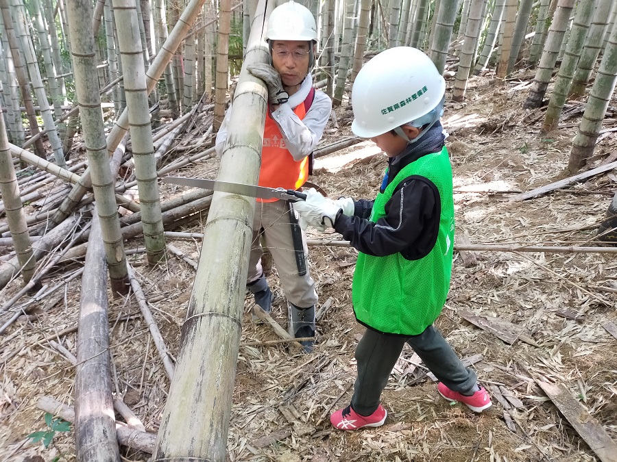 子どもも伐採に挑戦