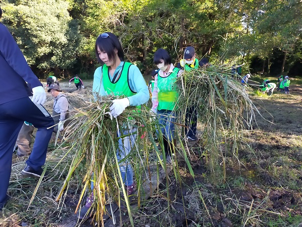 重い草を運びました