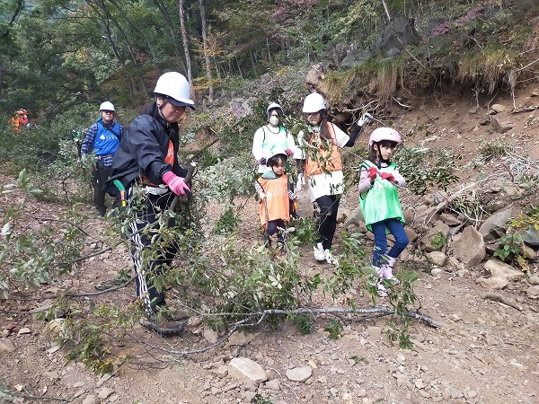 伐倒した木の枝運び