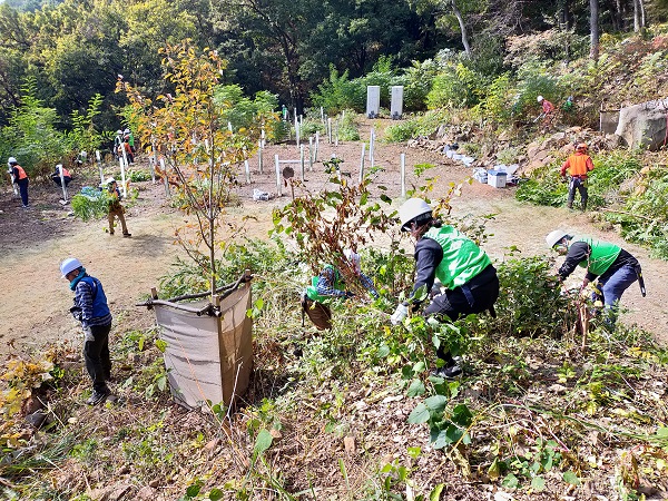灌木類の刈り取り