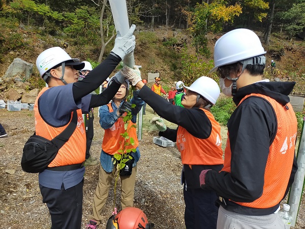 苗木の立て直し