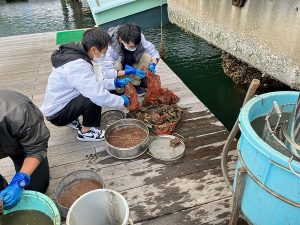 不純物の除去作業