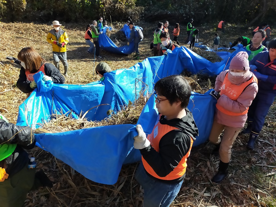 ヨシの運び出し