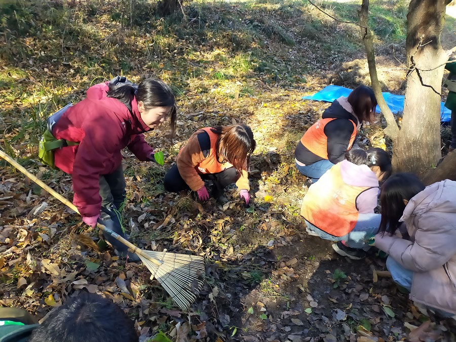 目を凝らしてひたすら探します