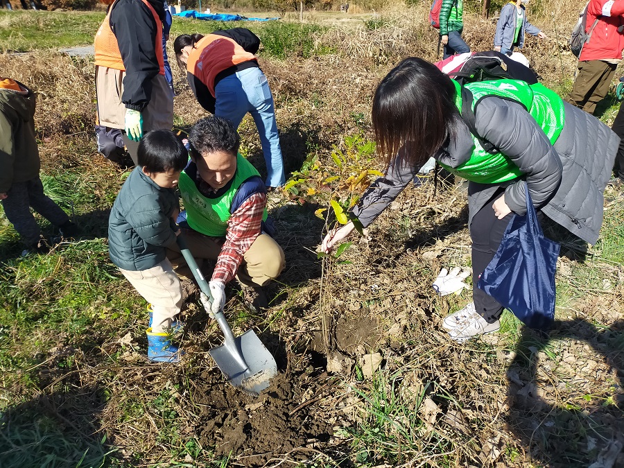 幼木の移植活動