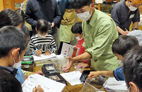 おけがや自然塾での昆虫観察会。子どもたちは興味津々