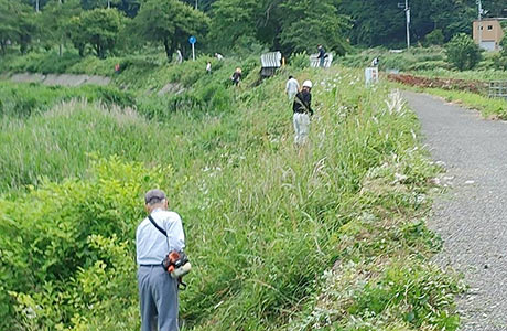 開花前の草刈りには悪戦苦闘